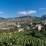 Garden By An Island