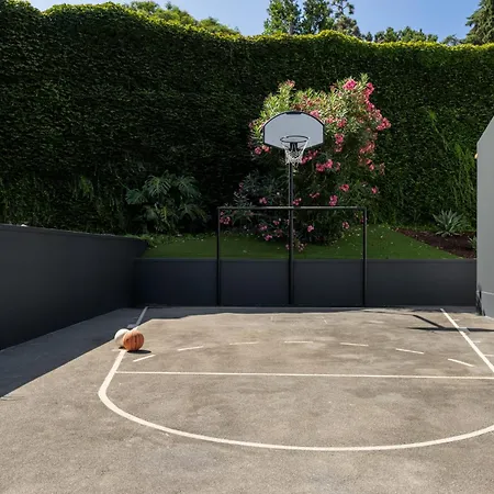 Garden By An Island Funchal (Madeira)